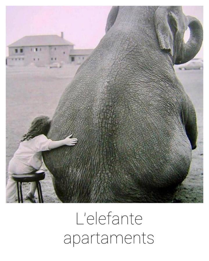 Elefante Appartamenti Пескара Екстериор снимка